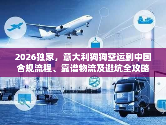 2026独家，意大利狗狗空运到中国合规流程、靠谱物流及避坑全攻略