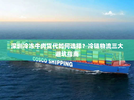 深圳冷冻牛肉货代如何选择?冷链物流三大避坑指南 深圳冷冻牛肉货代如何选择?冷链物流三大避坑指南