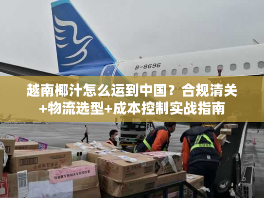 越南椰汁怎么运到中国？合规清关+物流选型+成本控制实战指南