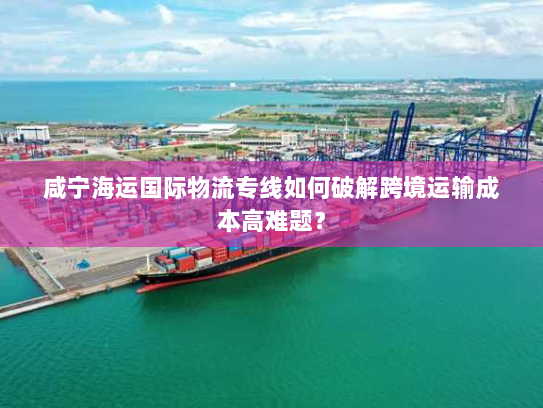 咸宁海运国际物流专线如何破解跨境运输成本高难题? 咸宁海运国际物流专线如何破解跨境运输成本高难题?