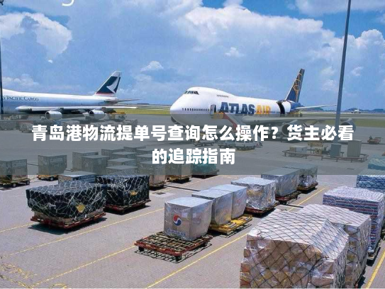 青岛港物流提单号查询怎么操作？货主必看的追踪指南