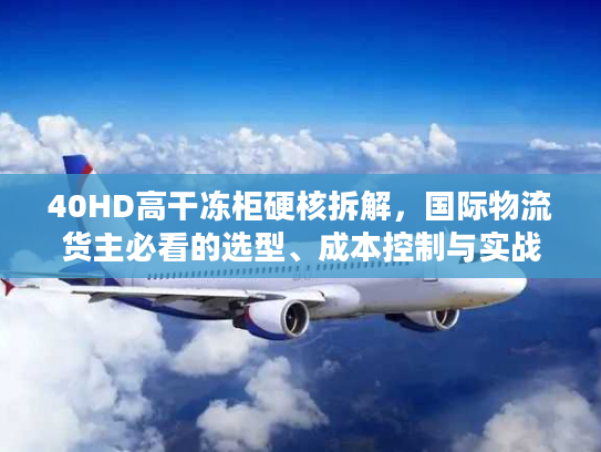 40HD高干冻柜硬核拆解，国际物流货主必看的选型、成本控制与实战避坑攻略