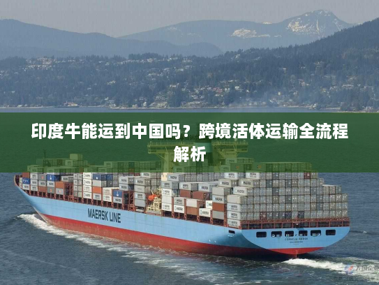 印度牛能运到中国吗?跨境活体运输全流程解析 印度牛能运到中国吗?跨境活体运输全流程解析