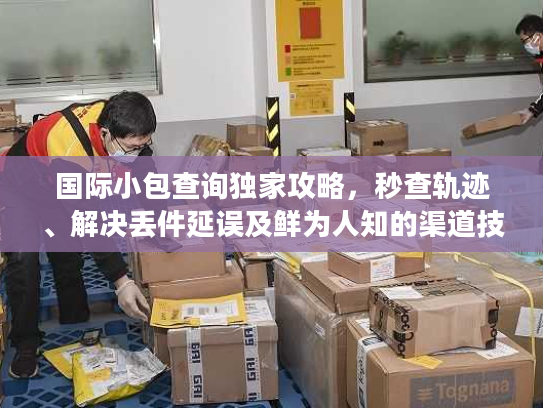 国际小包查询独家攻略，秒查轨迹、解决丢件延误及鲜为人知的渠道技巧