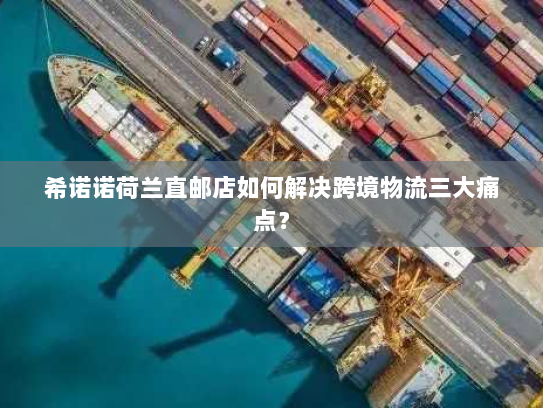 希诺诺荷兰直邮店如何解决跨境物流三大痛点? 希诺诺荷兰直邮店如何解决跨境物流三大痛点?