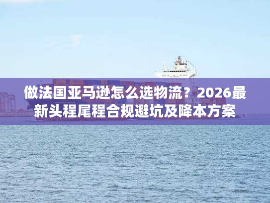 做法国亚马逊怎么选物流？2026最新头程尾程合规避坑及降本方案