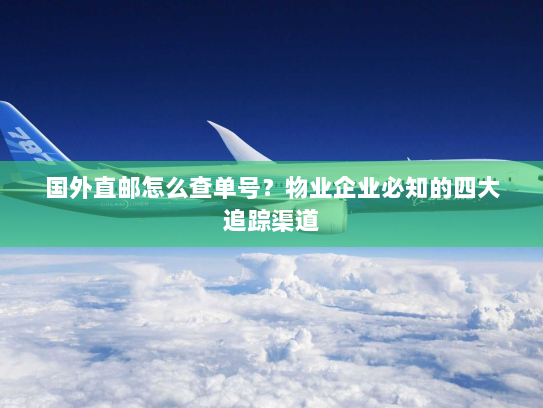 国外直邮怎么查单号?物业企业必知的四大追踪渠道 国外直邮怎么查单号?物业企业必知的四大追踪渠道
