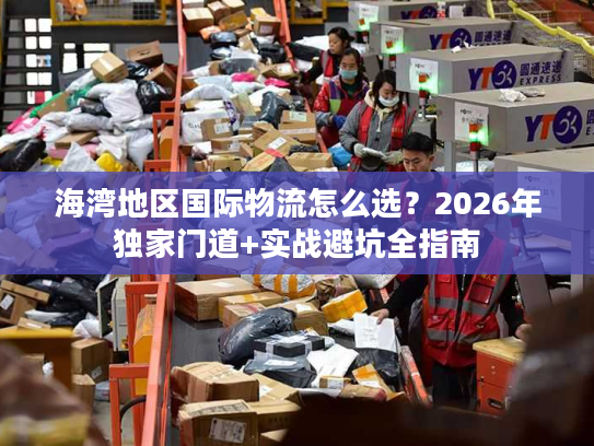 海湾地区国际物流怎么选？2026年独家门道+实战避坑全指南