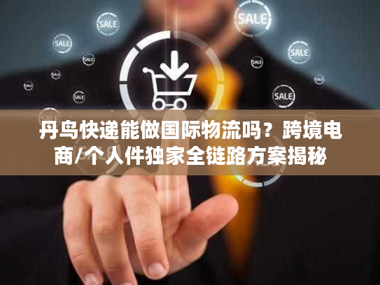 丹鸟快递能做国际物流吗？跨境电商/个人件独家全链路方案揭秘