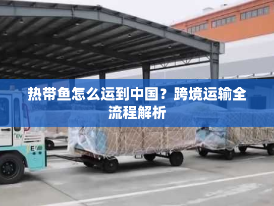 热带鱼怎么运到中国？跨境运输全流程解析