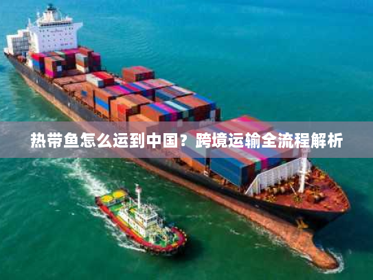热带鱼怎么运到中国？跨境运输全流程解析