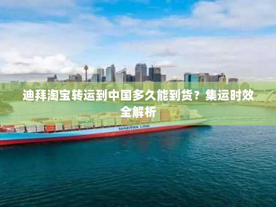 迪拜淘宝转运到中国多久能到货?集运时效全解析 迪拜淘宝转运到中国多久能到货?集运时效全解析