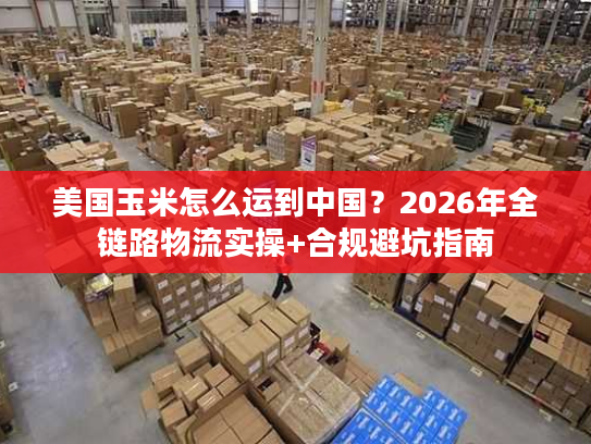 美国玉米怎么运到中国？2026年全链路物流实操+合规避坑指南