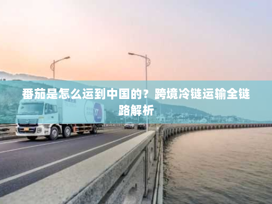 番茄是怎么运到中国的?跨境冷链运输全链路解析 番茄是怎么运到中国的?跨境冷链运输全链路解析