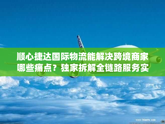 顺心捷达国际物流能解决跨境商家哪些痛点？独家拆解全链路服务实战干货