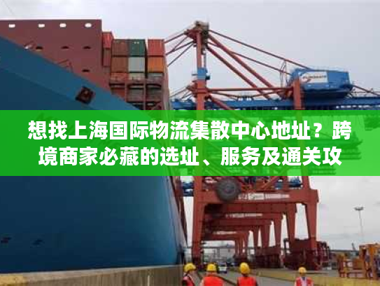 想找上海国际物流集散中心地址？跨境商家必藏的选址、服务及通关攻略