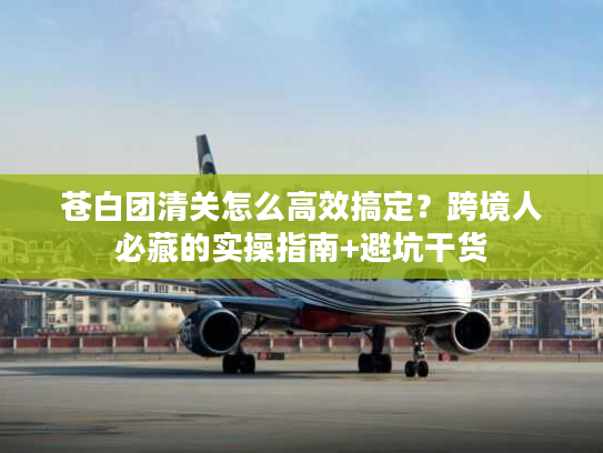 苍白团清关怎么高效搞定？跨境人必藏的实操指南+避坑干货