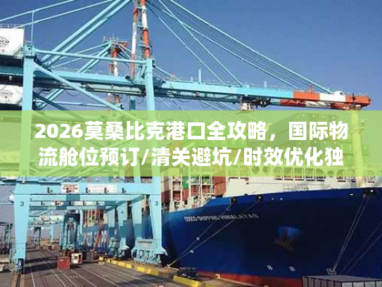 2026莫桑比克港口全攻略，国际物流舱位预订/清关避坑/时效优化独家指南
