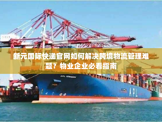 新元国际快递官网如何解决跨境物流管理难题?物业企业必看指南 新元国际快递官网如何解决跨境物流管理难题?物业企业必看指南