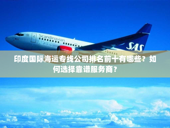 印度国际海运专线公司排名前十有哪些？如何选择靠谱服务商？