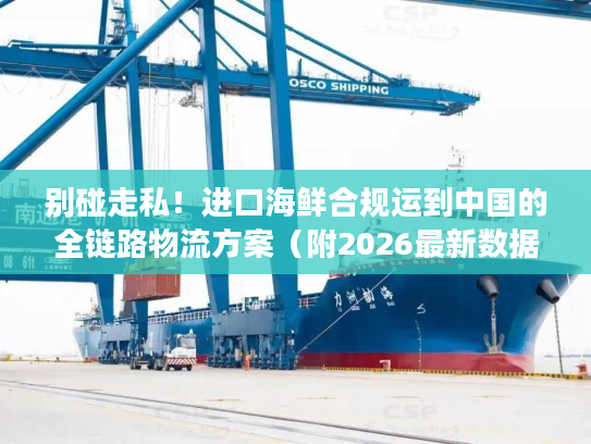 别碰走私！进口海鲜合规运到中国的全链路物流方案（附2026最新数据）