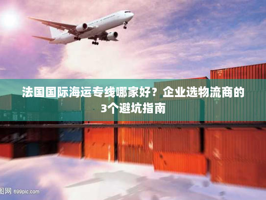 法国国际海运专线哪家好？企业选物流商的3个避坑指南