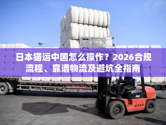 日本猫运中国怎么操作？2026合规流程、靠谱物流及避坑全指南