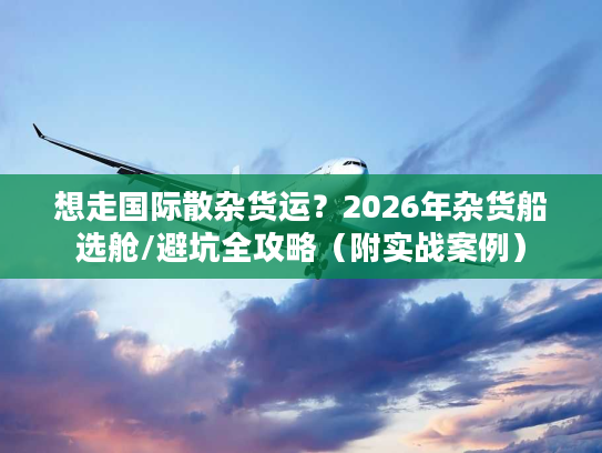 想走国际散杂货运？2026年杂货船选舱/避坑全攻略（附实战案例）