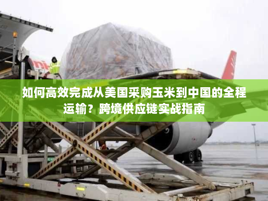 如何高效完成从美国采购玉米到中国的全程运输?跨境供应链实战指南 如何高效完成从美国采购玉米到中国的全程运输?跨境供应链实战指南