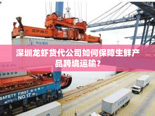 深圳龙虾货代公司如何保障生鲜产品跨境运输? 深圳龙虾货代公司如何保障生鲜产品跨境运输?