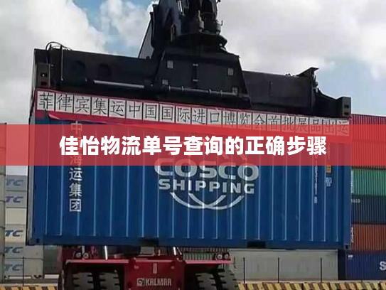 佳怡物流单号查询的正确步骤