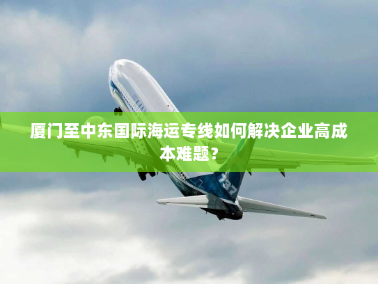 厦门至中东国际海运专线如何解决企业高成本难题? 厦门至中东国际海运专线如何解决企业高成本难题?