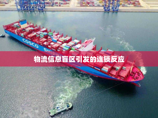 物流信息盲区引发的连锁反应 物流信息盲区引发的连锁反应