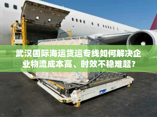 武汉国际海运货运专线如何解决企业物流成本高、时效不稳难题？