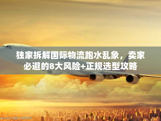 独家拆解国际物流跑水乱象，卖家必避的8大风险+正规选型攻略