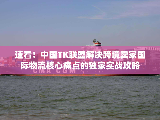 速看！中国TK联盟解决跨境卖家国际物流核心痛点的独家实战攻略