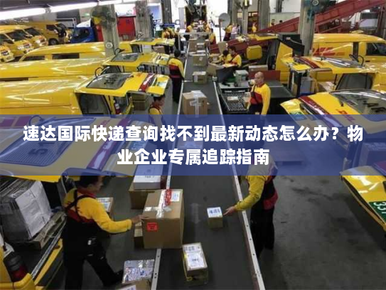 速达国际快递查询找不到最新动态怎么办?物业企业专属追踪指南 速达国际快递查询找不到最新动态怎么办?物业企业专属追踪指南