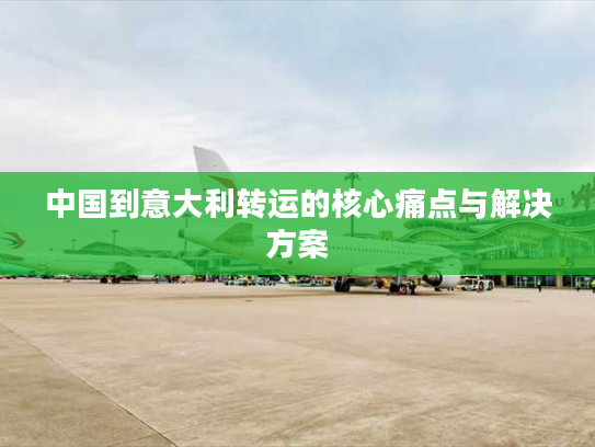 中国到意大利转运的核心痛点与解决方案