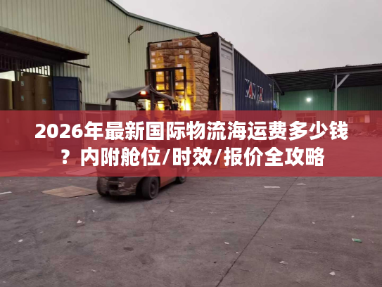 2026年最新国际物流海运费多少钱？内附舱位/时效/报价全攻略
