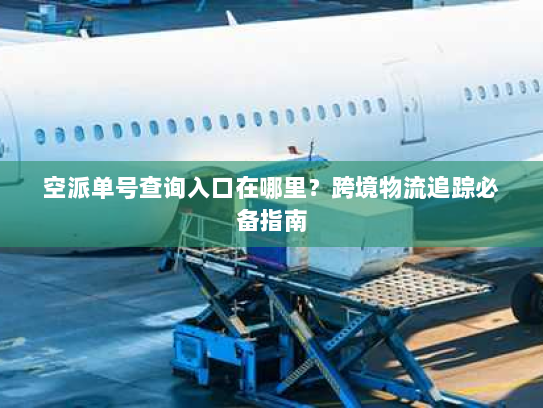 空派单号查询入口在哪里?跨境物流追踪必备指南 空派单号查询入口在哪里?跨境物流追踪必备指南