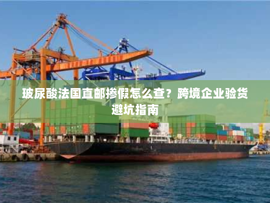 玻尿酸法国直邮掺假怎么查?跨境企业验货避坑指南 玻尿酸法国直邮掺假怎么查?跨境企业验货避坑指南