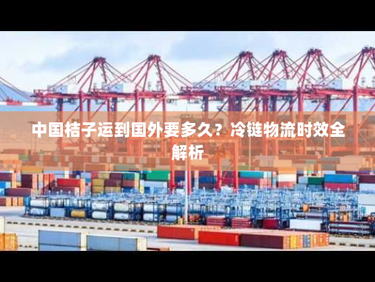 中国桔子运到国外要多久?冷链物流时效全解析 中国桔子运到国外要多久?冷链物流时效全解析