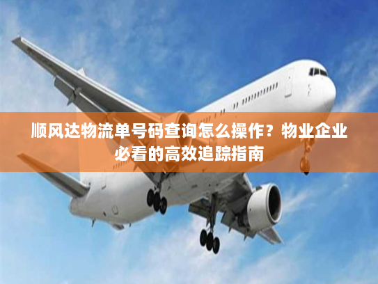 顺风达物流单号码查询怎么操作?物业企业必看的高效追踪指南 顺风达物流单号码查询怎么操作?物业企业必看的高效追踪指南