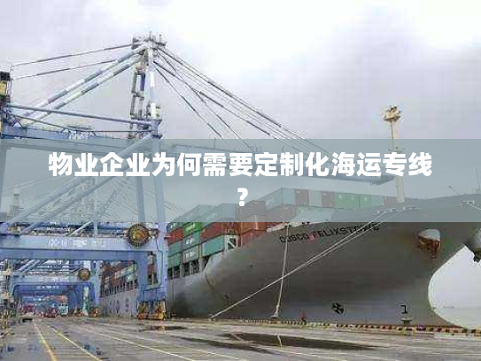 物业企业为何需要定制化海运专线？