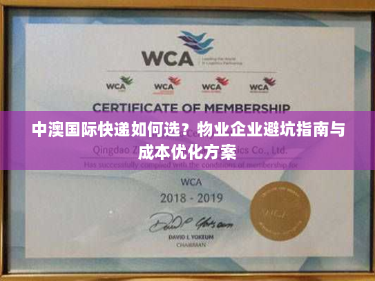 中澳国际快递如何选?物业企业避坑指南与成本优化方案 中澳国际快递如何选?物业企业避坑指南与成本优化方案
