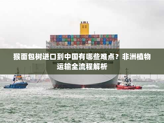 猴面包树进口到中国有哪些难点？非洲植物运输全流程解析