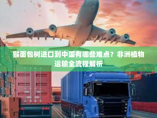 猴面包树进口到中国有哪些难点？非洲植物运输全流程解析