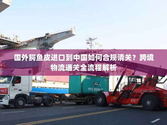 国外鳄鱼皮进口到中国如何合规清关？跨境物流通关全流程解析