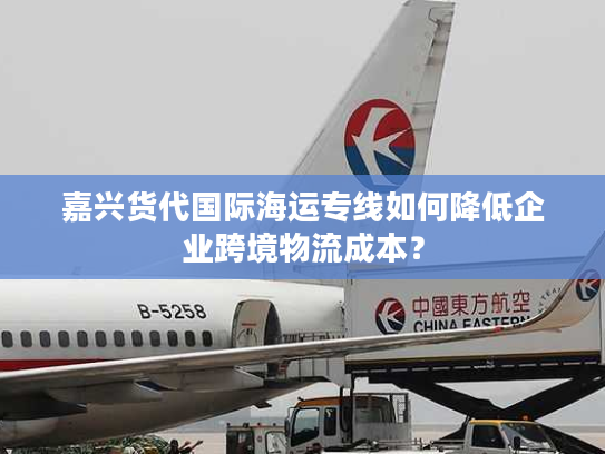 嘉兴货代国际海运专线如何降低企业跨境物流成本? 嘉兴货代国际海运专线如何降低企业跨境物流成本?