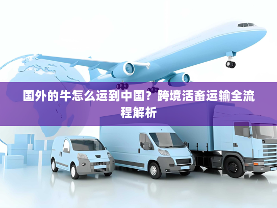 国外的牛怎么运到中国?跨境活畜运输全流程解析 国外的牛怎么运到中国?跨境活畜运输全流程解析